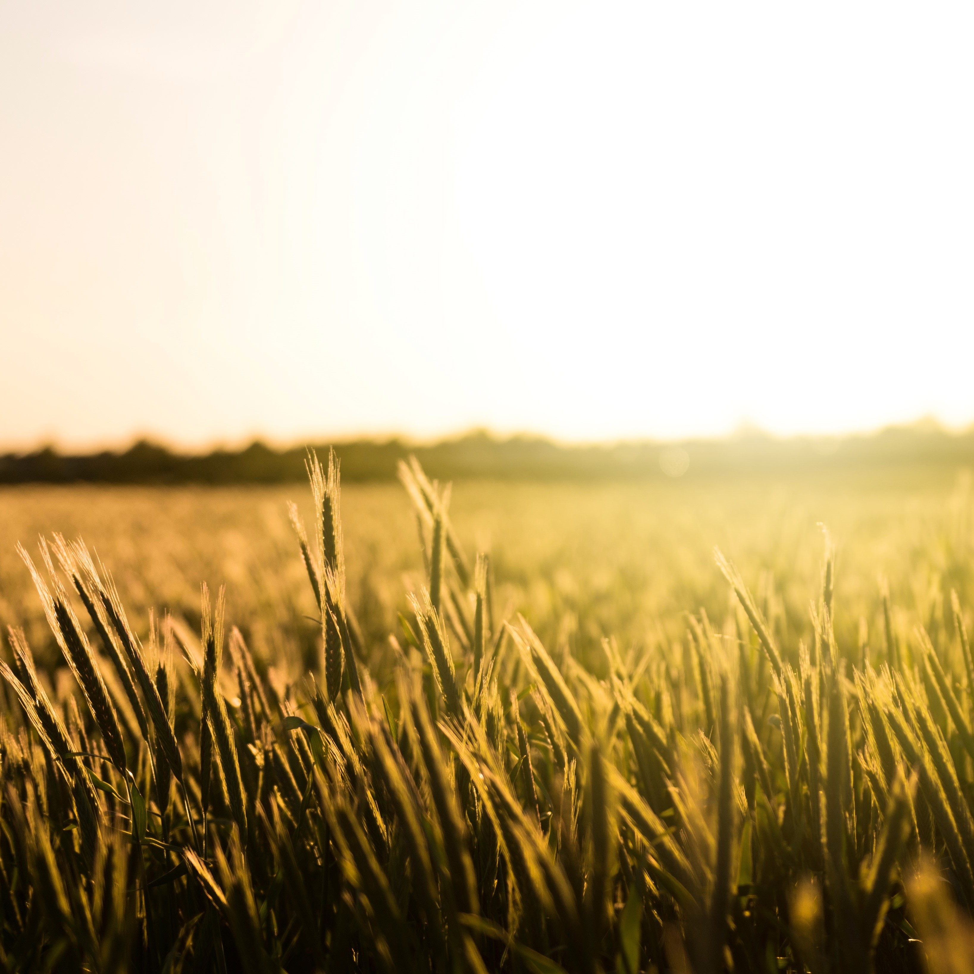 建工时代大立教育动态